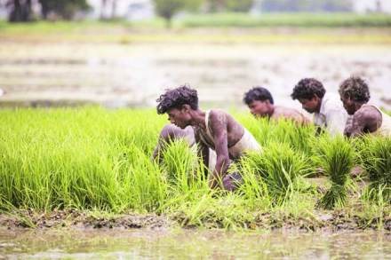 inidan economy, kharif production, economic activity, Dedicated Freight Corridor programme, GST collectionm FDI flows, rabi season, rural income