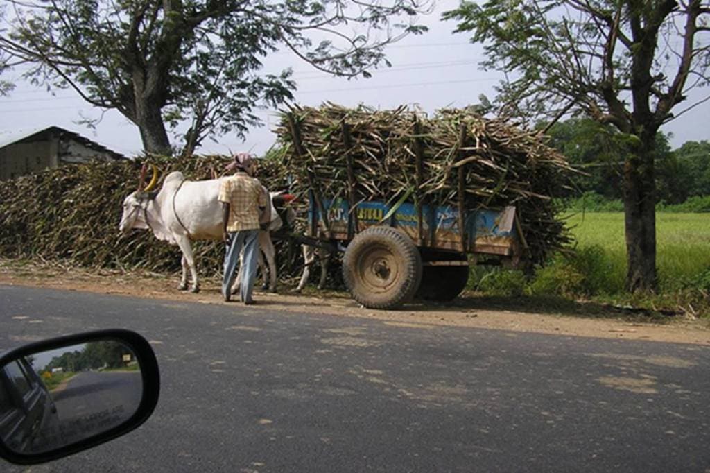 rural india, MGNREGA, farm activity, rural india, growth engine, unemployment, jobs, employment
