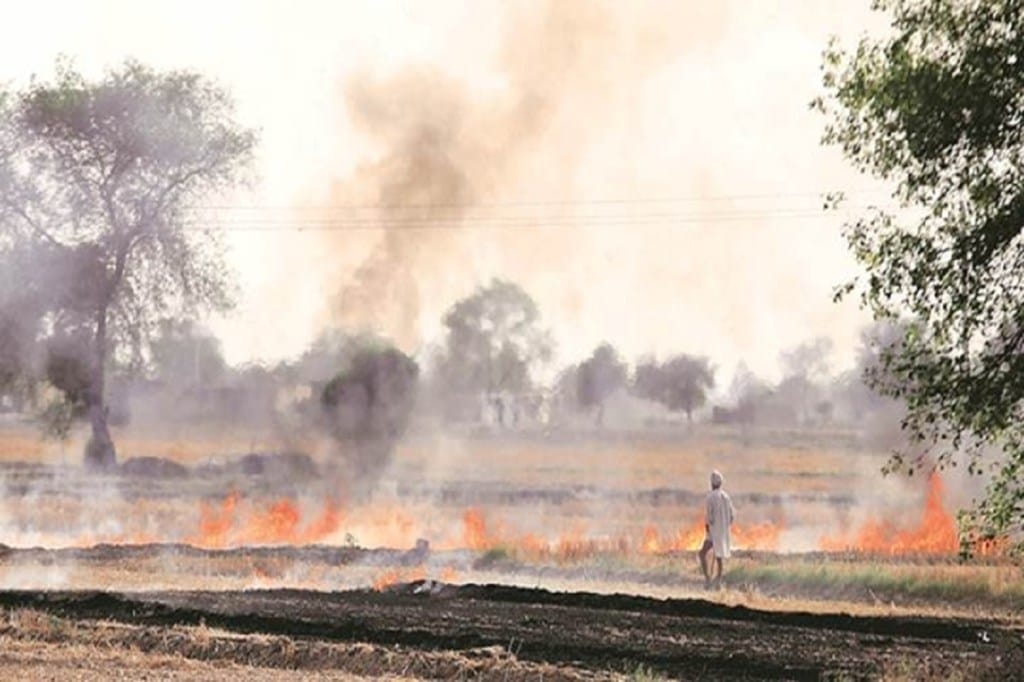 Crop stubble burning is considered as a low-cost method for getting rid of crop waste and decreases time for the next sowing cycle. Crop stubble burning is considered as a low-cost method for getting rid of crop waste and decreases time for the next sowing cycle.