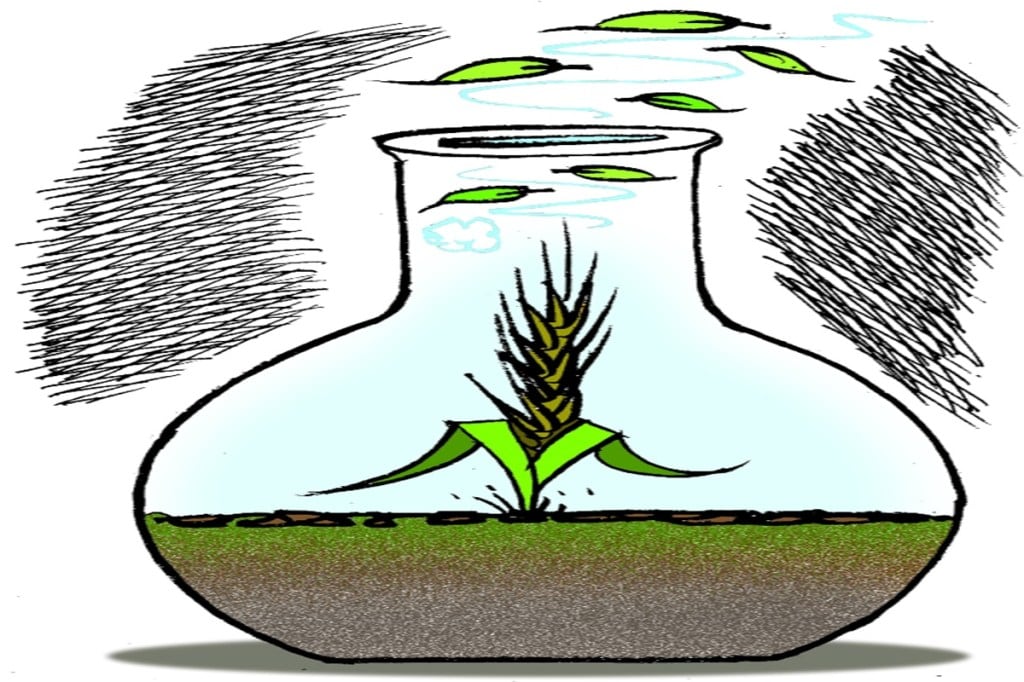 Agriculture is one of the biggest emitters of GHGs.