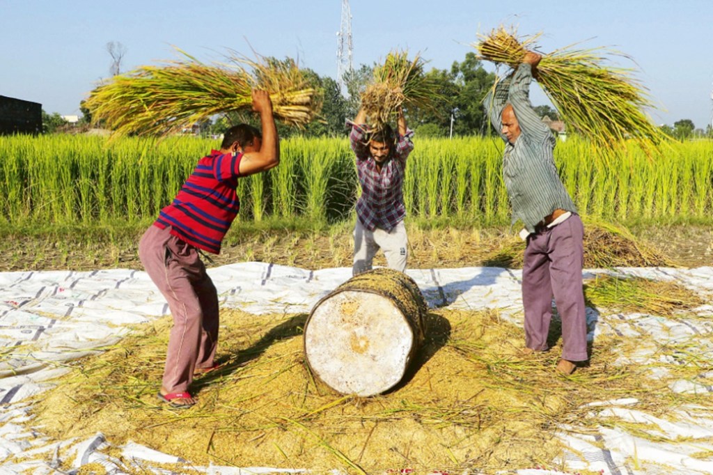 farm acts, freedom of choice, doubling farmers' income, farm bills farm acts, freedom of choice, doubling farmers' income, farm bills