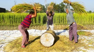 farm acts, freedom of choice, doubling farmers' income, farm bills