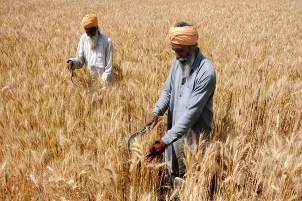 Even in case of the 10 crops that were actually procured by the government in 2019-20, the purchases made up for just about 33% of their total market value.