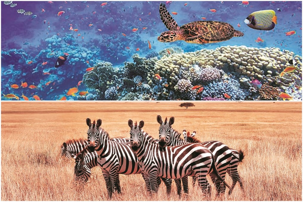 Most countries are now taking steps to protect biodiversity without which the state of the world’s biodiversity would be considerably worse.