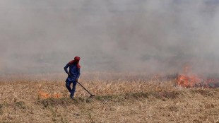 The Centre should take responsibility, Sisodia said and appealed to "the (central) government to play a crucial role in controlling pollution in north India and also curb stubble burning".