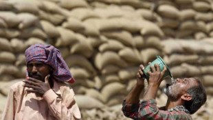 A law comes into force after notification of rules.