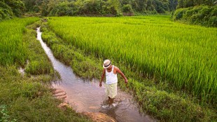 agriculture, farm growth, farm sector, agri GVA