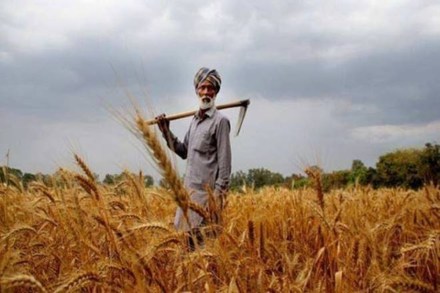 As part of the Atmanirbhar Bharat package, the government had announced to cover 2.5 crore farmers under the KCC scheme with a credit boost of Rs 2 lakh crore through a special saturation drive. As part of the Atmanirbhar Bharat package, the government had announced to cover 2.5 crore farmers under the KCC scheme with a credit boost of Rs 2 lakh crore through a special saturation drive.