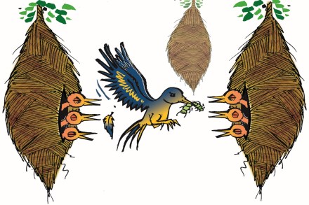 However, states will have to service the debts raised under this unconditional window of 0.5% of GSDP from their own resources.