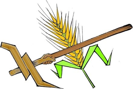 BharatAgri's technology solution provides personalised agriculture and farming advisory to farmers.