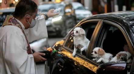 The Railways has assured that the ticket prices of such trains will be “affordable”, while ensuring that the comfort and conveniences increase manifold and there is substantial reduction in travel time.