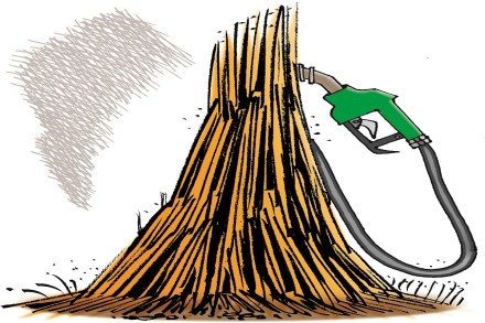 Task forces made recommendations on farm waste to advanced biofuels.