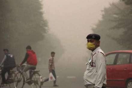 Haryana has recorded around 4,284 incidents of stubble burning this season so far.