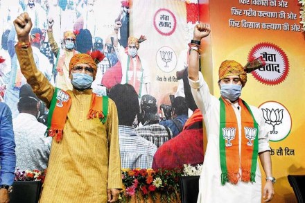 Madhya Pradesh by election result 2020