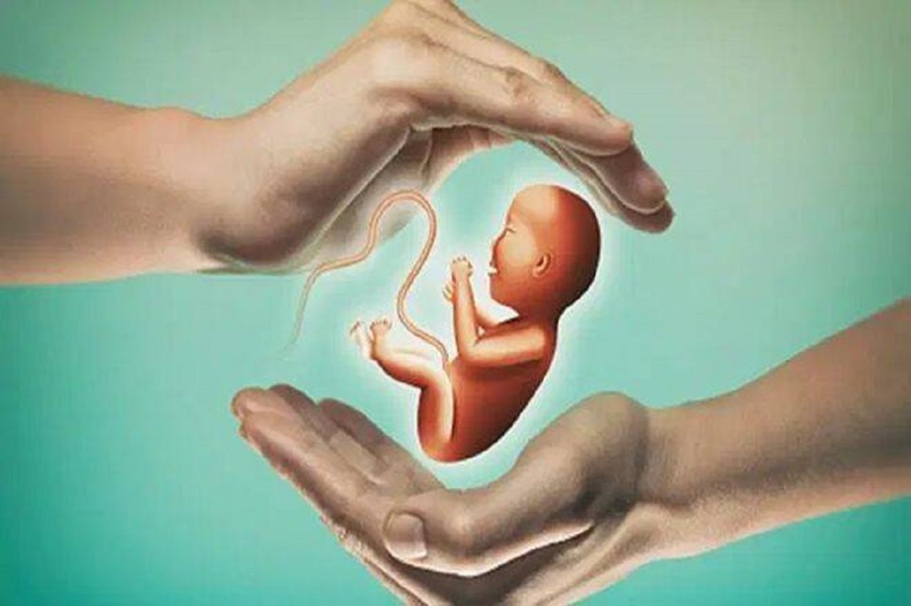 According to the demographic trends, fertility rates in India have slumped.