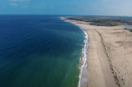 Indian beaches blue flag, Indian beaches names, Indian beaches to visit in summer, blue flag certification, blue flag certification upsc, blue flag beach, blue flag meaning, blue flag certification beaches in India, blue flag beaches in India upsc, blue flag beach India, blue flag programme, Indian beaches blue flag, Indian beaches names, Indian beaches to visit in summer, blue flag certification, blue flag certification upsc, blue flag beach, blue flag meaning, blue flag certification beaches in India, blue flag beaches in India upsc, blue flag beach India, blue flag programme,