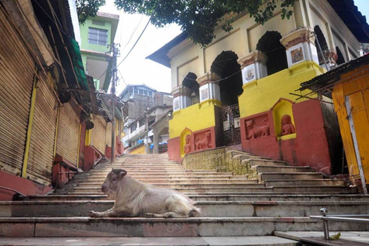The temple has remained closed for devotees since March 20 due to the outbreak of COVID-19 and subsequent lockdown. The temple has remained closed for devotees since March 20 due to the outbreak of COVID-19 and subsequent lockdown.