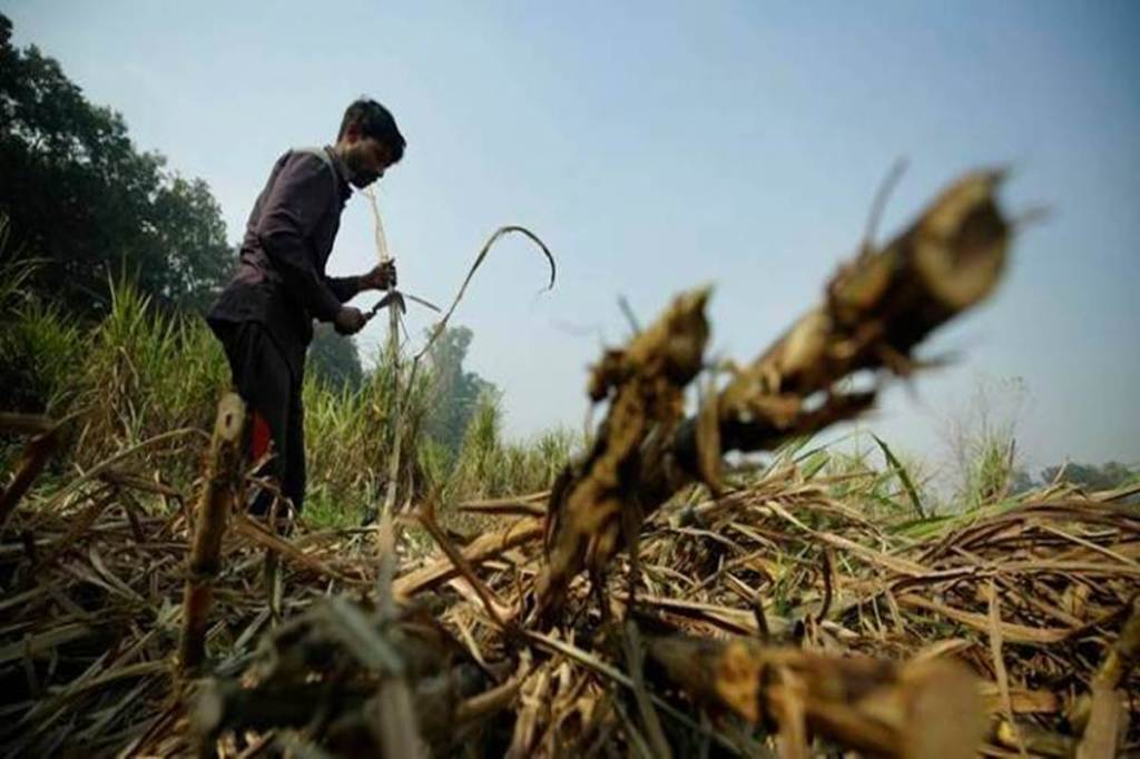 In the normal sugar season, about 320 lakh tonnes of sugar is produced against domestic consumption of 260 lakh tonnes.