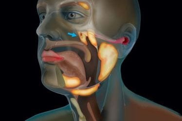 The two researchers had been studying the scans of 100 people. (Image: Netherlands Cancer Institute)