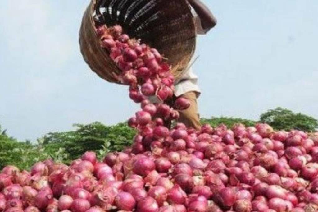 Onions, onion prices, Onion crisis, Narendra Singh Tomar, Farm crisis, Modi govt, farm laws