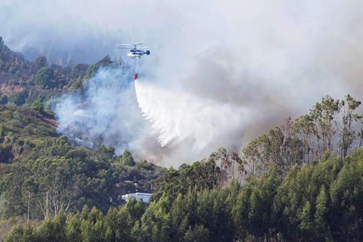 Flames have scorched an area larger than Connecticut. (Representative image) Flames have scorched an area larger than Connecticut. (Representative image)