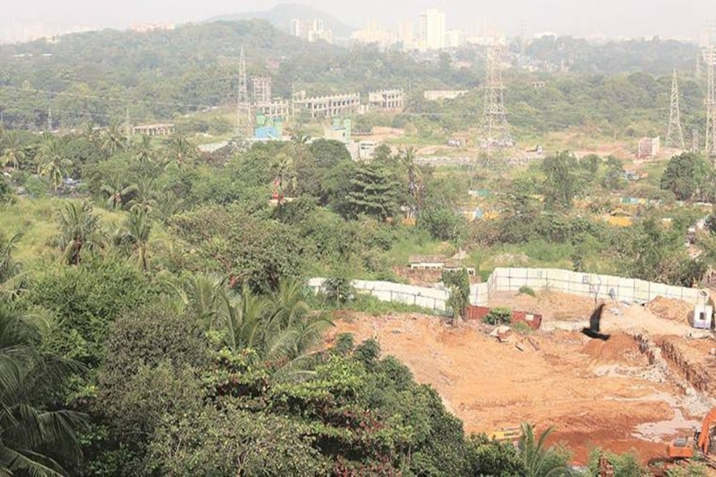 mumbai metro, mumbai metro news, aarey forest, aarey forest news, aarey metro car shed, aarey forest news, Mumbai metro news, mumbai metro latest news,