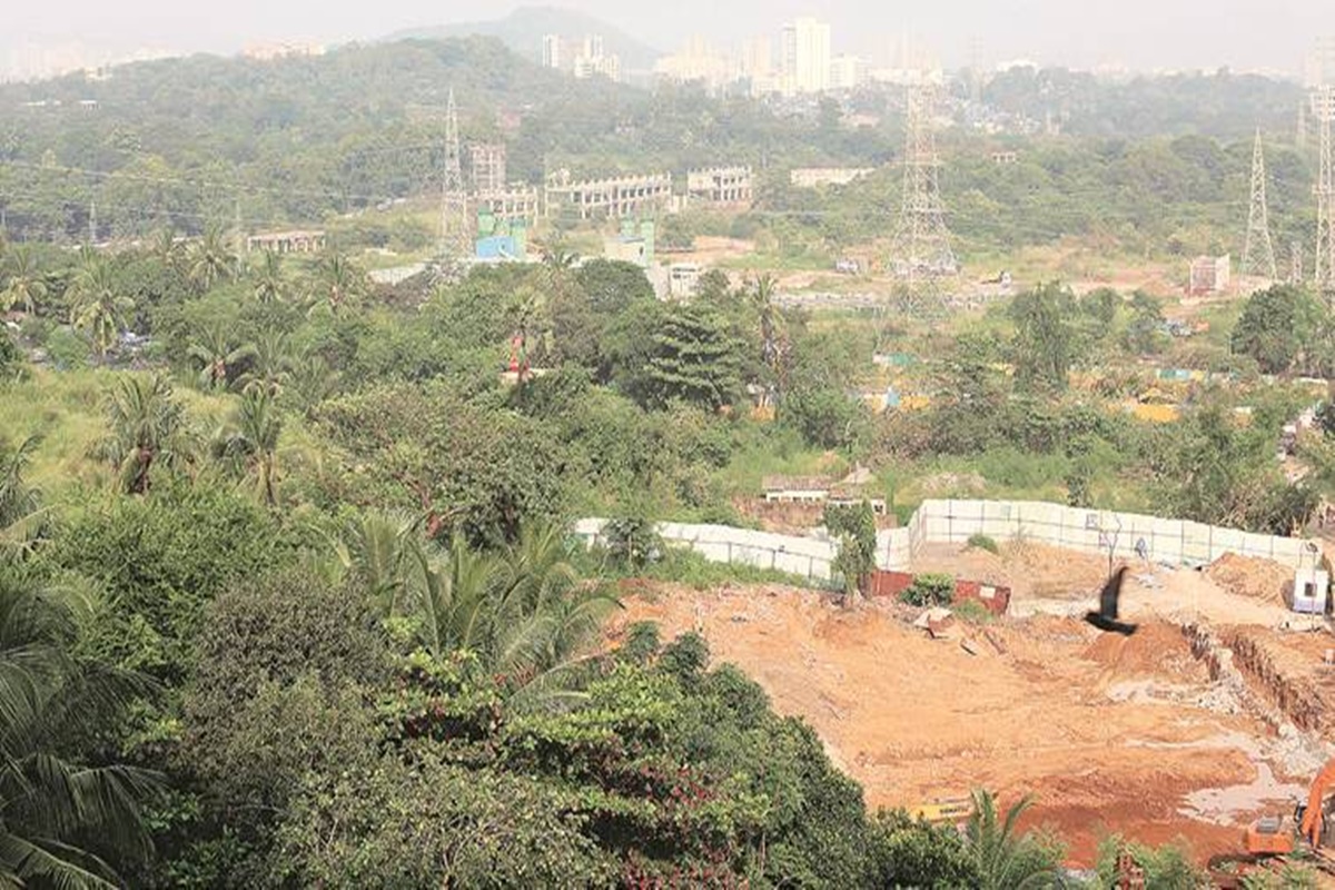 mumbai metro, mumbai metro news, aarey forest, aarey forest news, aarey metro car shed, aarey forest news, Mumbai metro news, mumbai metro latest news,