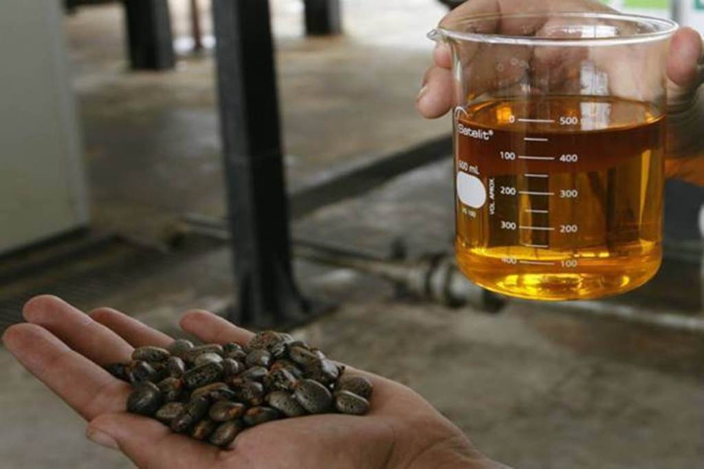 BV Mehta, executive director, SEA, said that value addition within India should be the prime focus of the country and raw material (castor seed) exports should be discouraged.