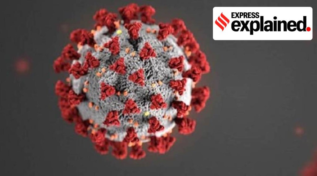 The coronavirus death toll climbed to 1,14,031, the health ministry's data showed.