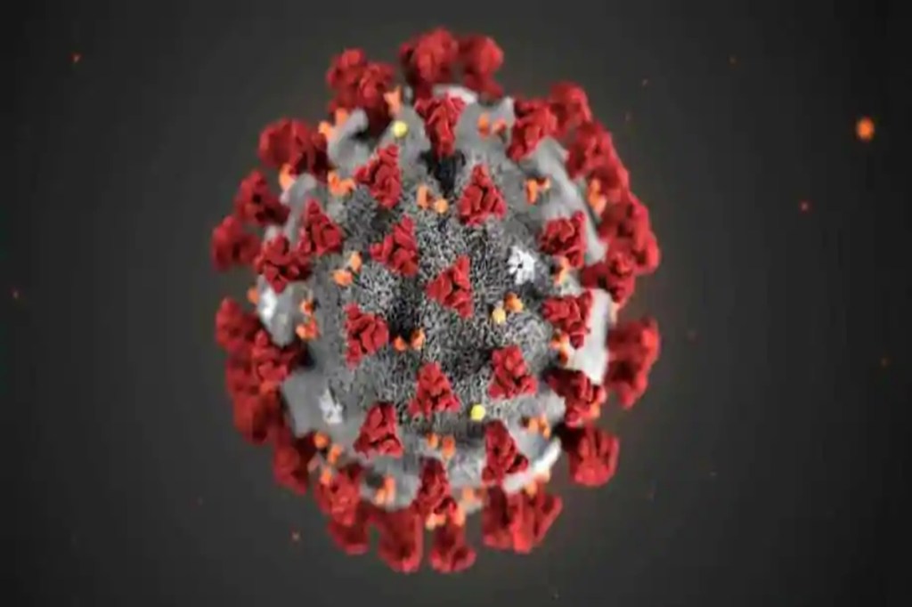 coronavirus study, covid 19 study, coronavirus latest update, covid latest update, coronavirus news, covid news,