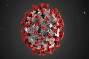 coronavirus study, covid 19 study, coronavirus latest update, covid latest update, coronavirus news, covid news,