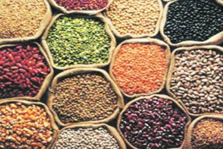 Dhuli urad is being offered to states at Rs 79 per kg for K-18 variety and at Rs 81 per kg for K-19 variety of 2018 kharif crop; similarly, tur is being offered for retail intervention at Rs 85 per kg, the Consumer Affairs Ministry said. Dhuli urad is being offered to states at Rs 79 per kg for K-18 variety and at Rs 81 per kg for K-19 variety of 2018 kharif crop; similarly, tur is being offered for retail intervention at Rs 85 per kg, the Consumer Affairs Ministry said.