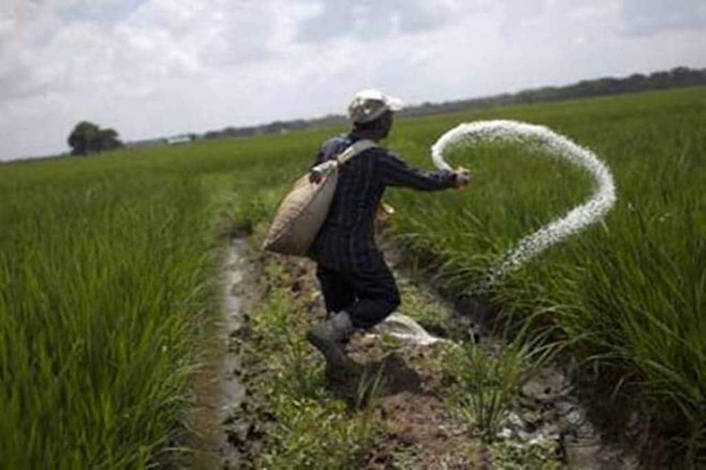 The sale of sulphur based fertilizers of company — bentonite sulphur — has registered a growth of 237% and SSP has registered growth of 133% over the comparable period last year.