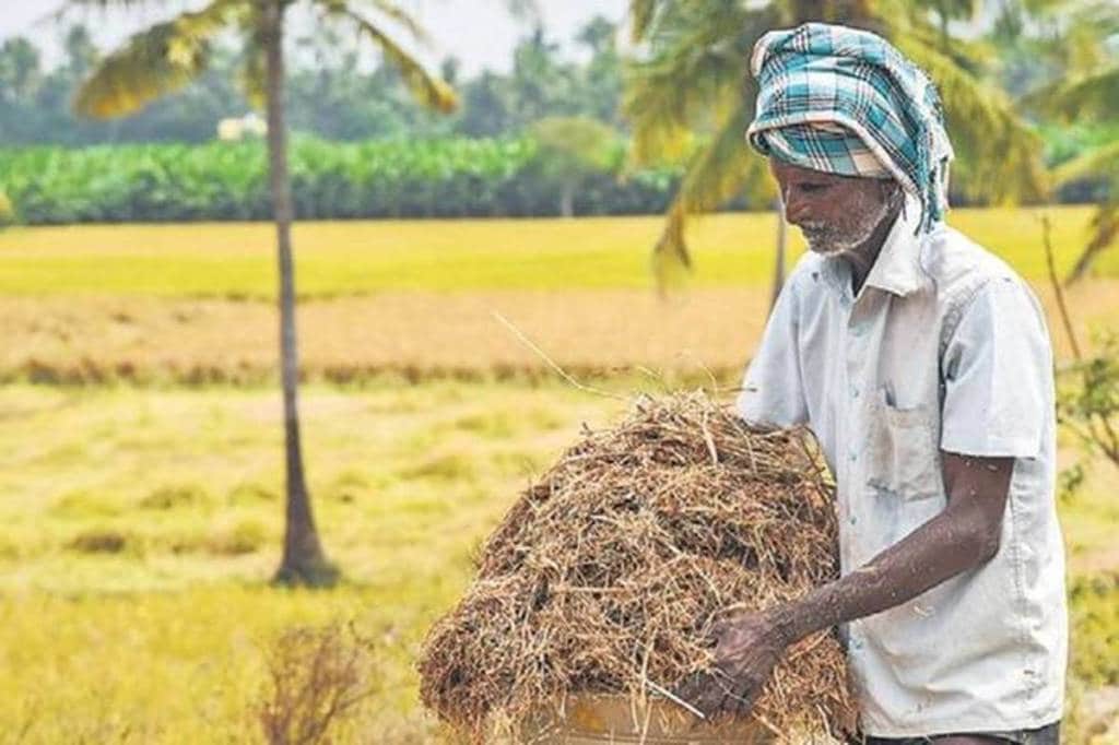 For the current year, the centre has fixed MSP of paddy (common grade) at Rs 1,868 per quintal, while that of A grade variety has been fixed at Rs 1,888 per quintal. (File image)