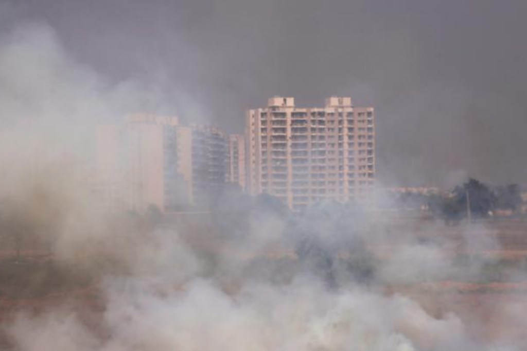 stubble burning, stubble burning delhi pollution, stubble burning solution, stubble burning in India, stubble burning releases which gases, stubble burning 2020, stubble burning alternatives, stubble burning in Punjab