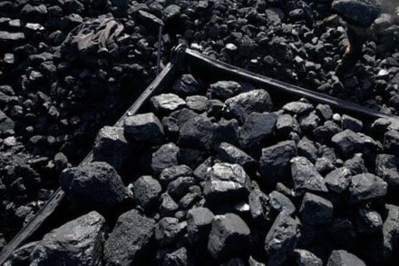 "Moreover, 62-64 per cent Fe (iron) is required for manufacturing of pellets. Had this illegal exports of pellets by private entities not been allowed, domestic steel industry would have met their requirement to that extent," FIMI said.