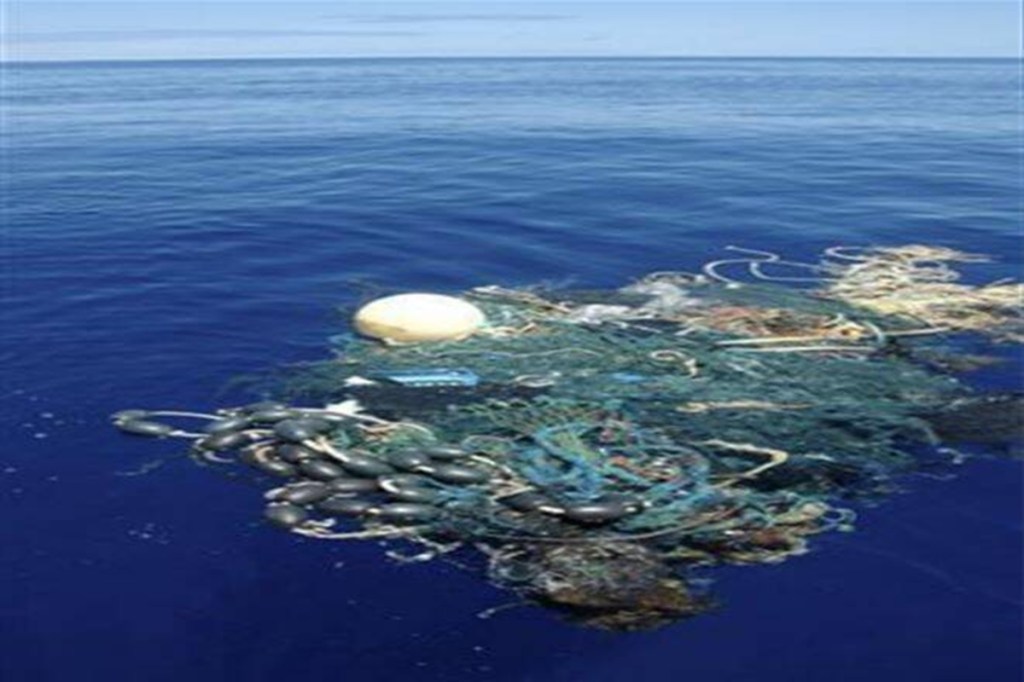 Currently, India is considered the twelfth-largest source of marine litter and is projected to become the fifth-largest by 2025. Currently, India is considered the twelfth-largest source of marine litter and is projected to become the fifth-largest by 2025.
