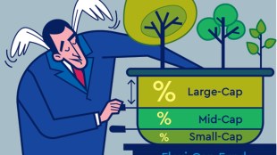 Analysts say the flexi-cap category will help fund managers to invest freely across market capitalisation.