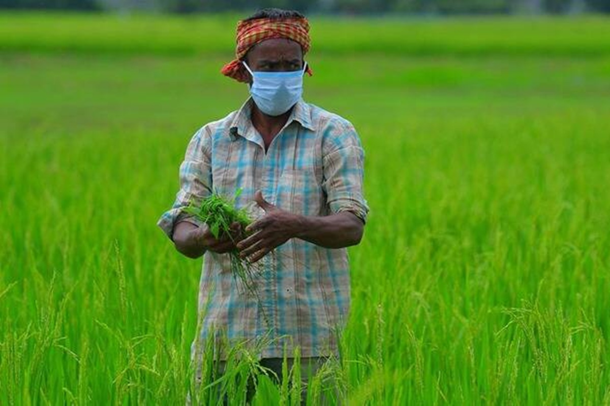 The company has also started buying paddy through e-Choupal, he added.