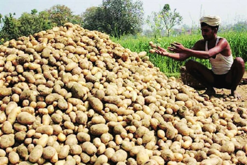 Potato prices, which have been hovering between Rs 4,000 and Rs 5,000 per quintal across the country for quite some time, have already started softening.