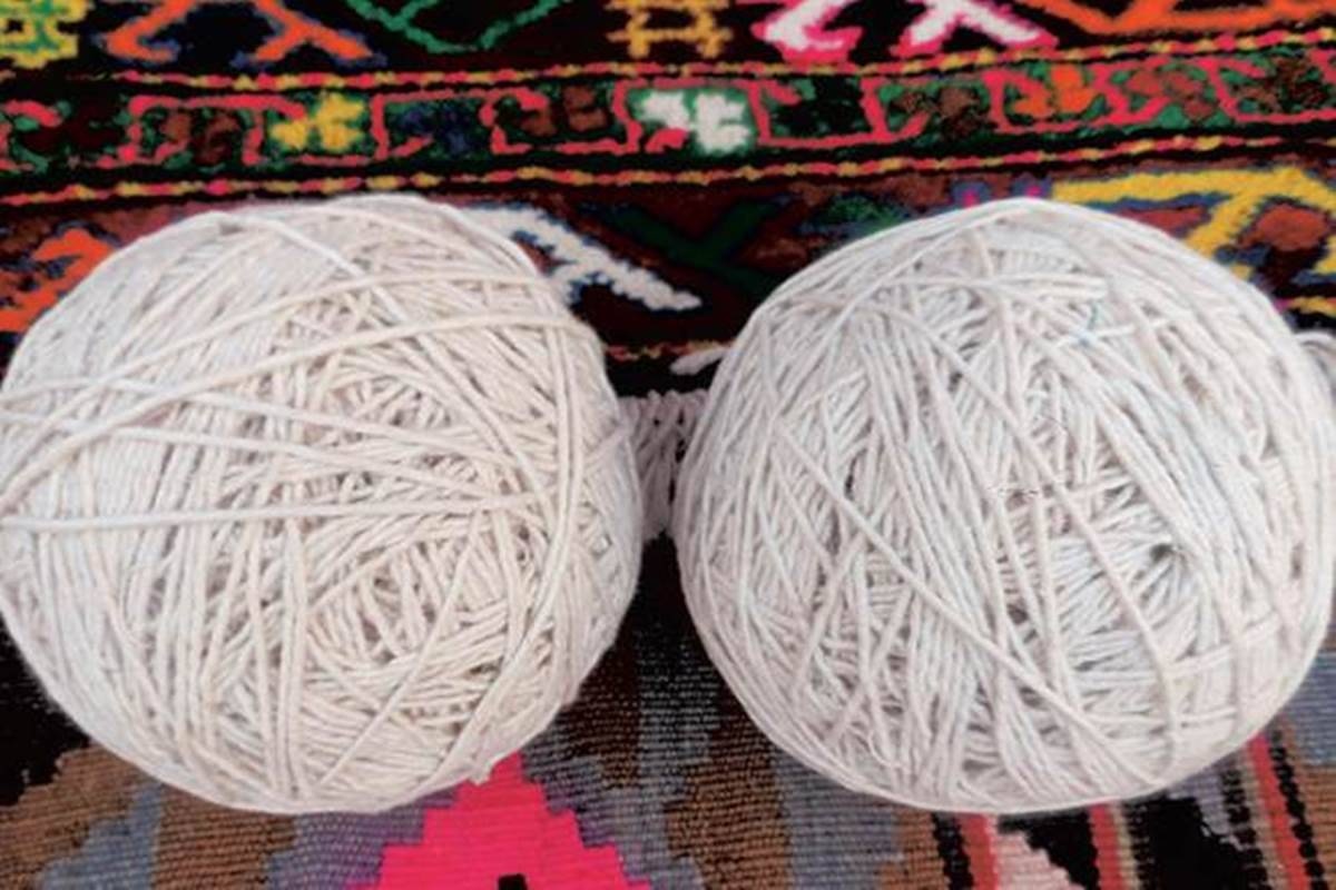 Currently, around 50,000 bales (170 kg per bale) are being processed at ginning mills across Gujarat. Currently, around 50,000 bales (170 kg per bale) are being processed at ginning mills across Gujarat.