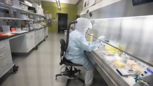 covid vaccine, vaccine effectiveness, coronavirus research
