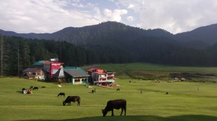 travelling during covid, travelling during covid India, travelling during lockdown, travelling during covid times, holiday during covid, holiday during lockdown, holiday during pandemic,