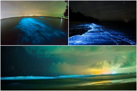 Blue tide, blue waves, blue beach, Goa, Juhu, Ratnagiri, Juhu beach, Mumbai beach, Maharashtra, Bioluminescence, Bioluminescence reason, climate change, global warming