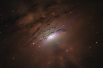 Centre for Astrophysics’ Peter Maksym-led team traced these rays to the core of the galaxy. (Image: NASA, ESA, and W.P. Maksym (CfA))