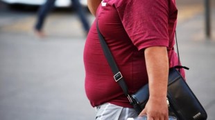 Obesity meaning, Obesity causes, Obesity in India, Obesity symptoms, covid obesity link, covid obesity statistics, covid obesity comorbidity