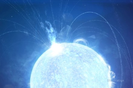 The source of these bursts was already being observed for half a by the astronomers when the flare-up occurred. (Image: NASA's Goddard Space Flight Center/Chris Smith (USRA))