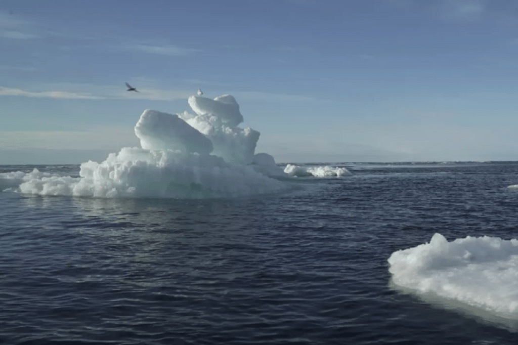 In the last four decades, the multi-year ice around the Arctic has shrunk to half.