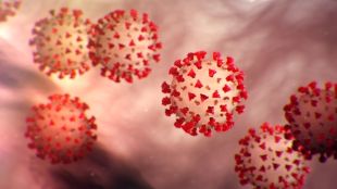 Scientists are also measuring how the membrane reacts when it is exposed to either melatonin or azithromycin which are being investigated as possible treatments of Coronavirus.