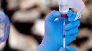 covid 19 vaccine update, coronavirus vaccine